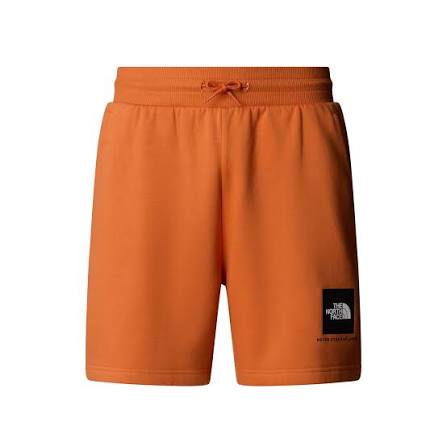 THE NORTH FACE BOX NSE REGULAR MAN SHORT